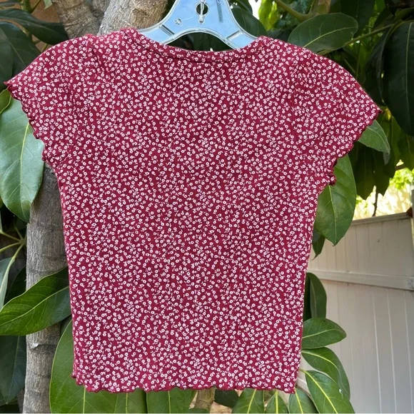 Brandy Melville red Zelly eyelet crop top. - Picture 7 of 8